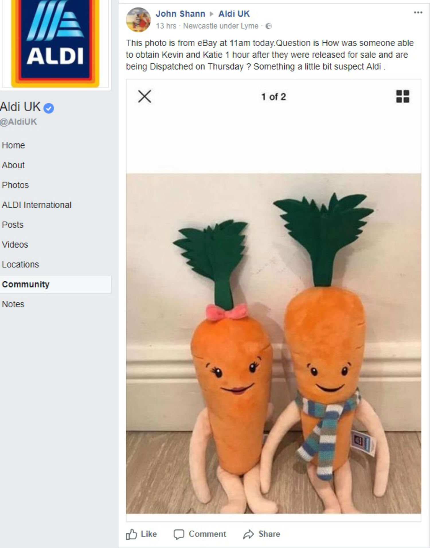 kevin the carrot aldi toy