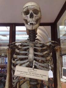 Burkes Skeleton