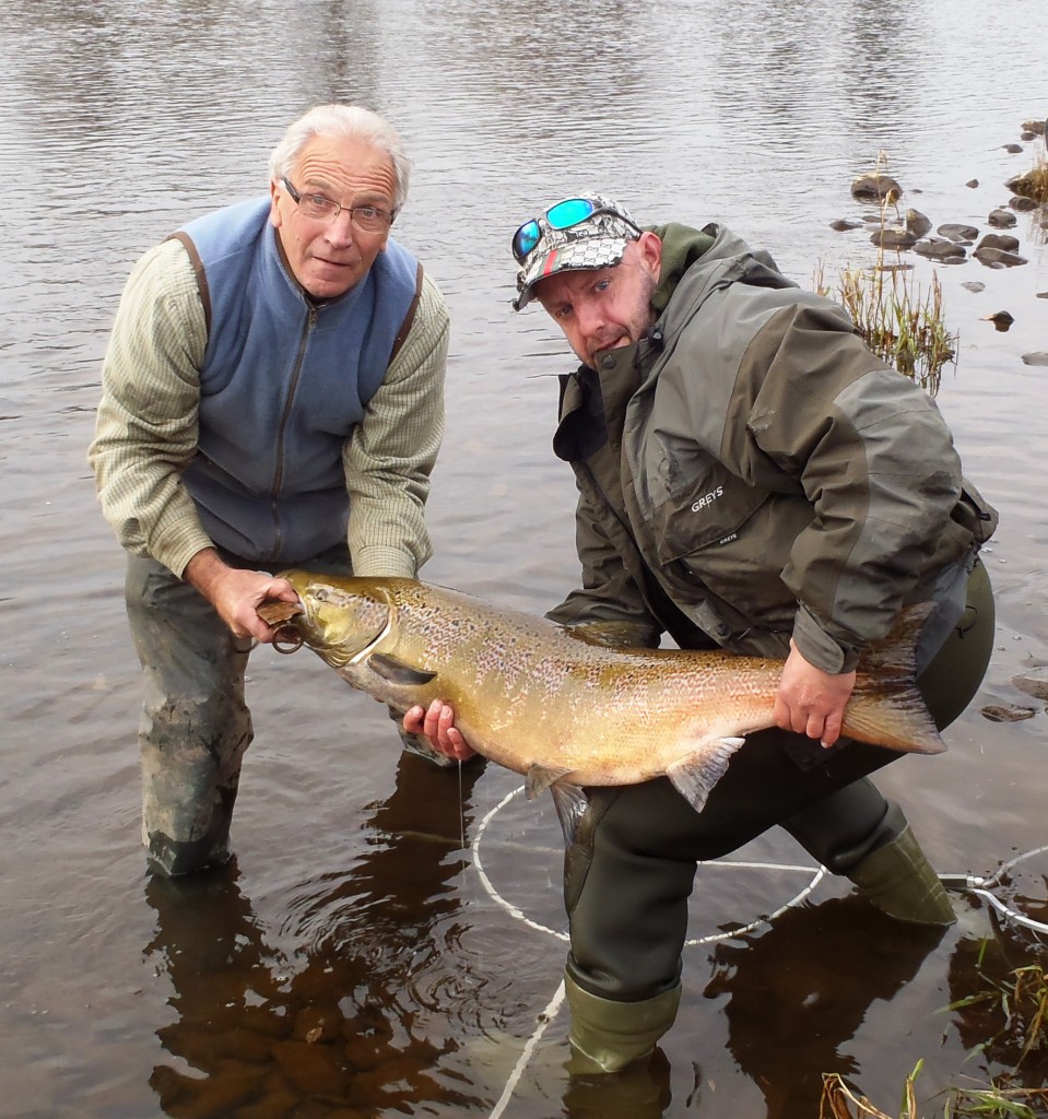 Prize Winning Salmon Caught On The River Nith Deadline News   BIG SALMON 012 959x1024 