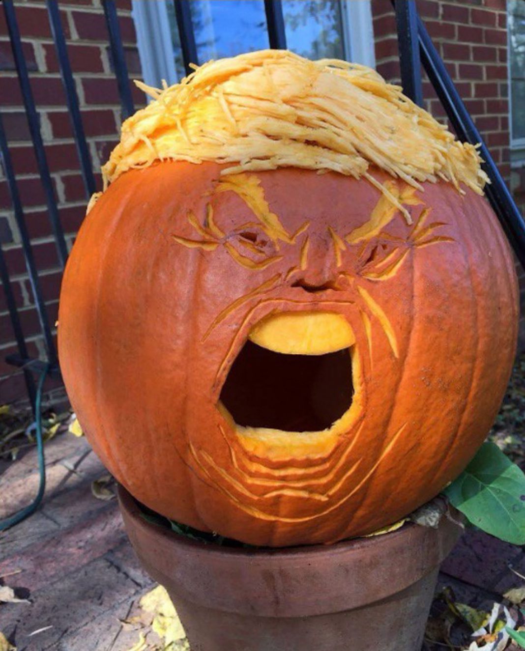 pumpkin-branded-a-trumpkin-because-of-likeness-to-presidential