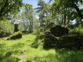 Ruin at Old Village of Lawers- Property News Scotland