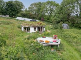 The unique Hobbit House - Welsh Property News