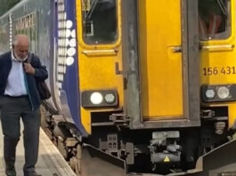 Ducklings moving down the train platform