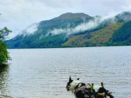 Pip looking at Loch Ness.