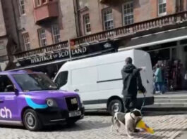 Man and his cone-carrying dog