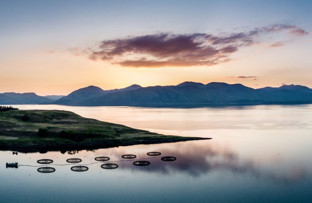 A Scottish fish farm. Image supplied with release by SAIC