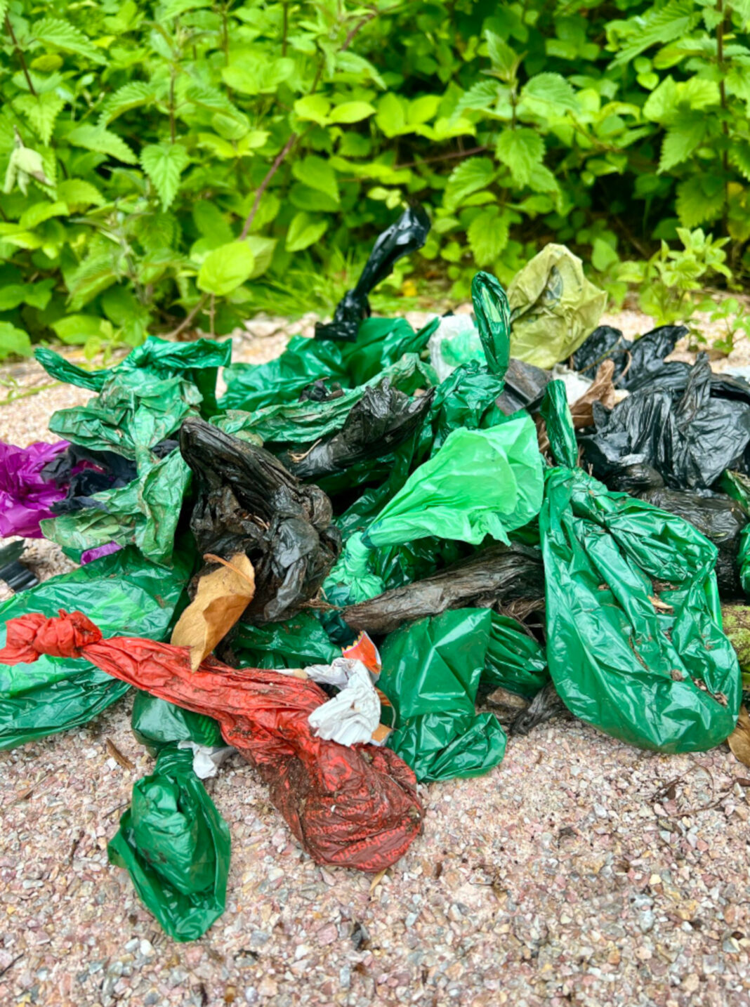 Brit finds FIFTY discarded dog poo bags on three-mile walk