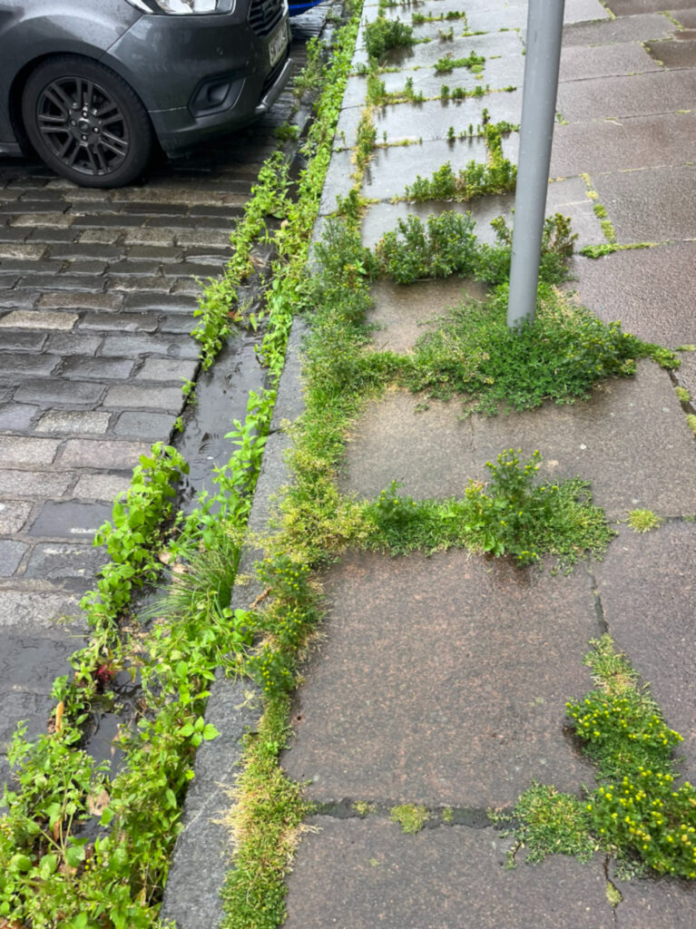 Locals were furious with the council over the declining state of the pavements.