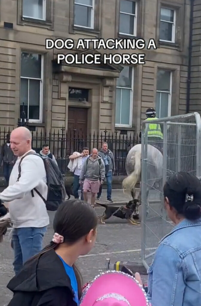 Horrifying moment out-of-control dog attacks police horse on Glasgow street