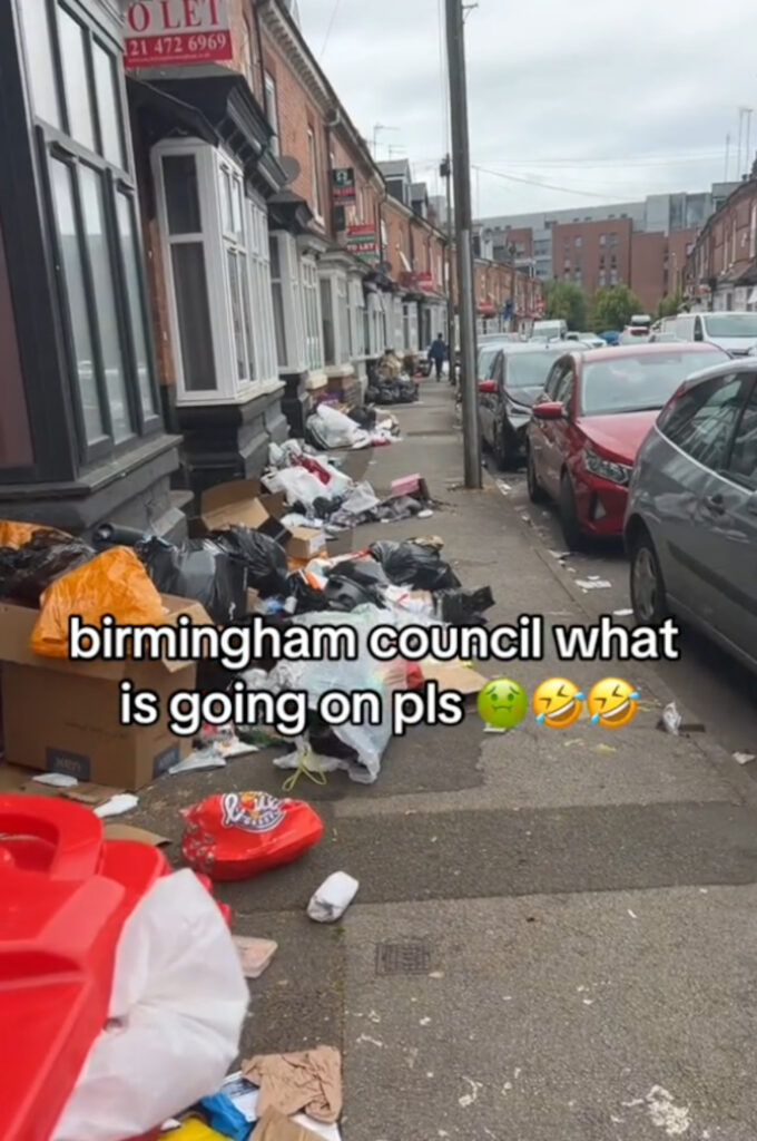 The woman pleaded with the City Council to clean up the rubbish.