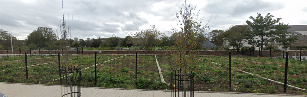 The Leith Links allotments. (C) Google Maps.