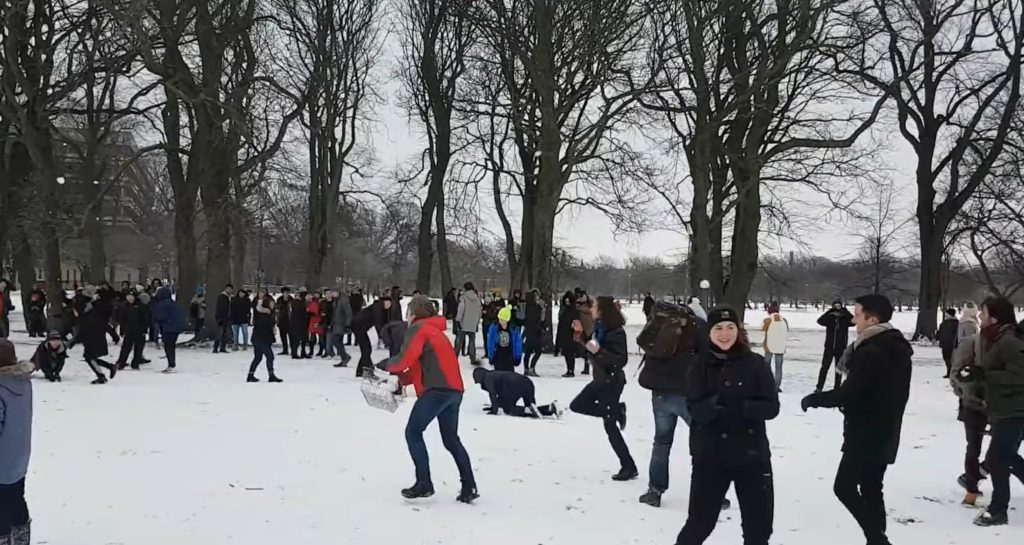 An image of people having a snowball fight in a park. One man in the middle holds a shopping basket full of snowballs.