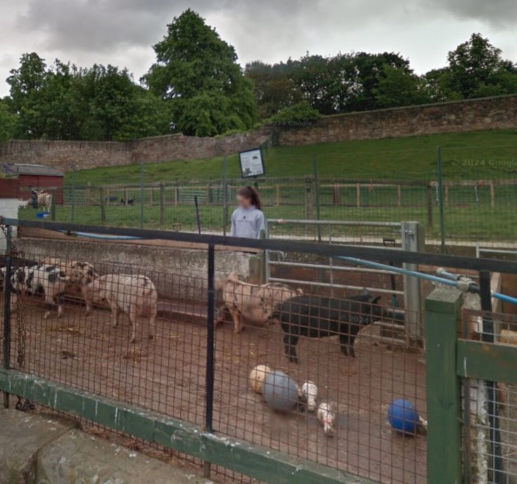 Gorgie City Farm. (C) Google Maps