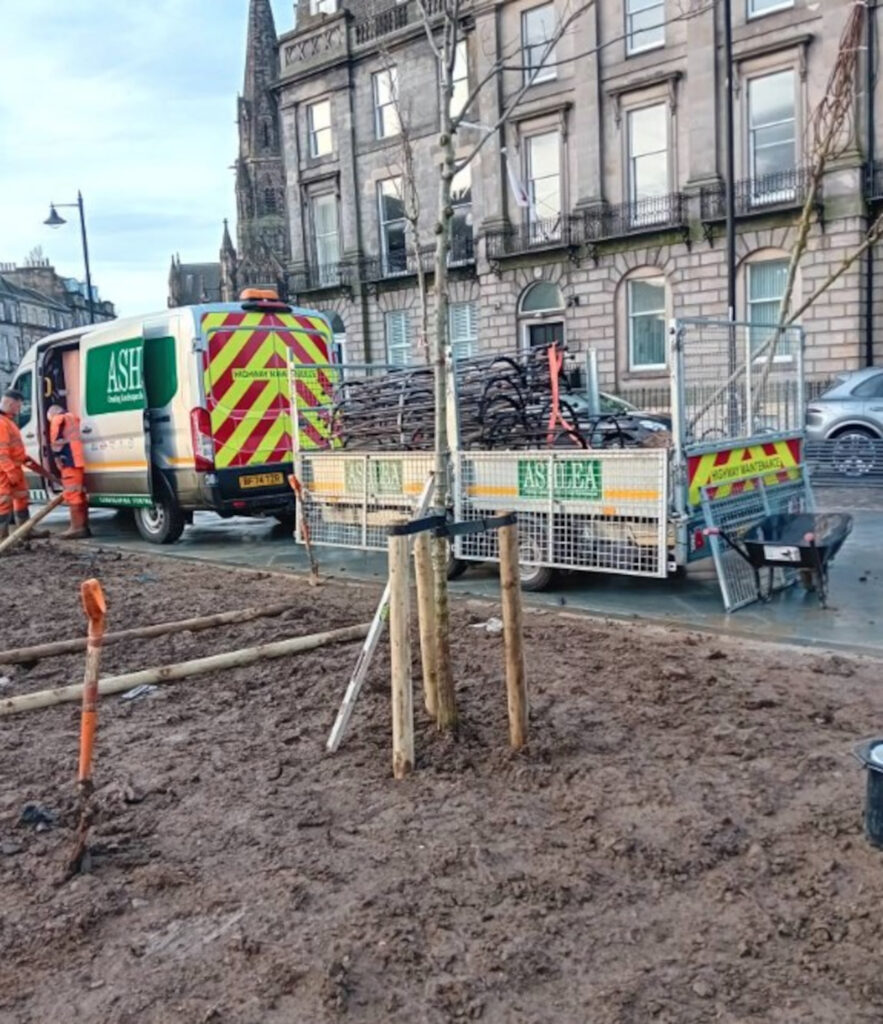 The section of the street where trees are being planted. (C) Alexandra Brown/Facebook