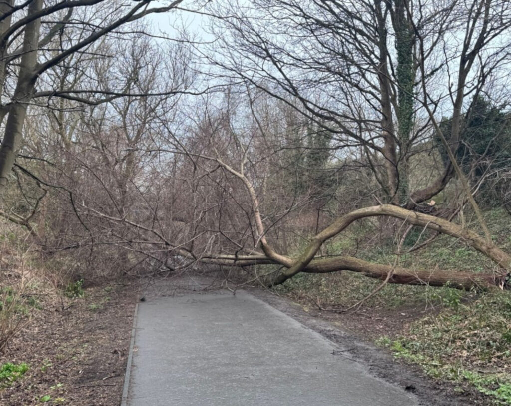 A fallen tree blocking the Goldenacre path (C) @jde22ix.bsky.social?/Bluesky