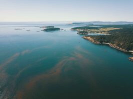 An aerial view of a coastline.